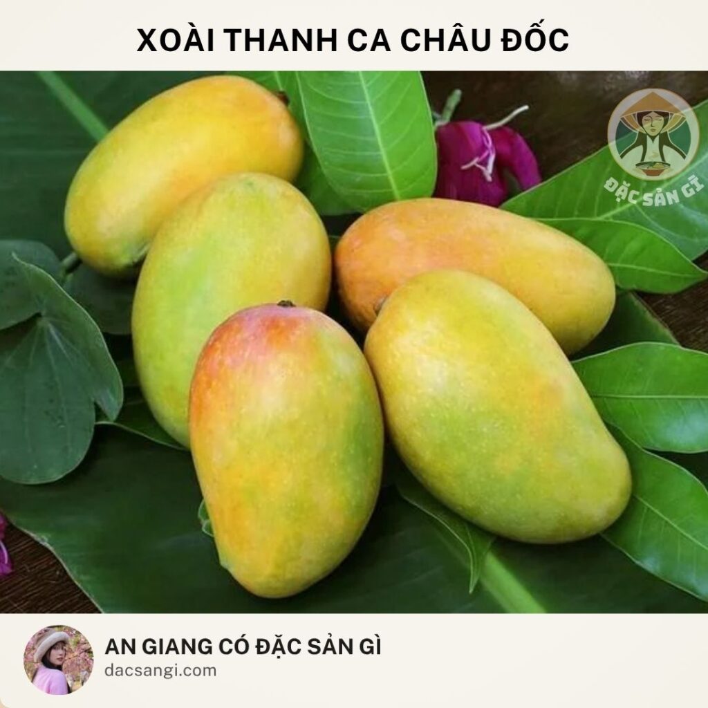 Đặc sản Xoài Thanh Ca Châu Đốc
