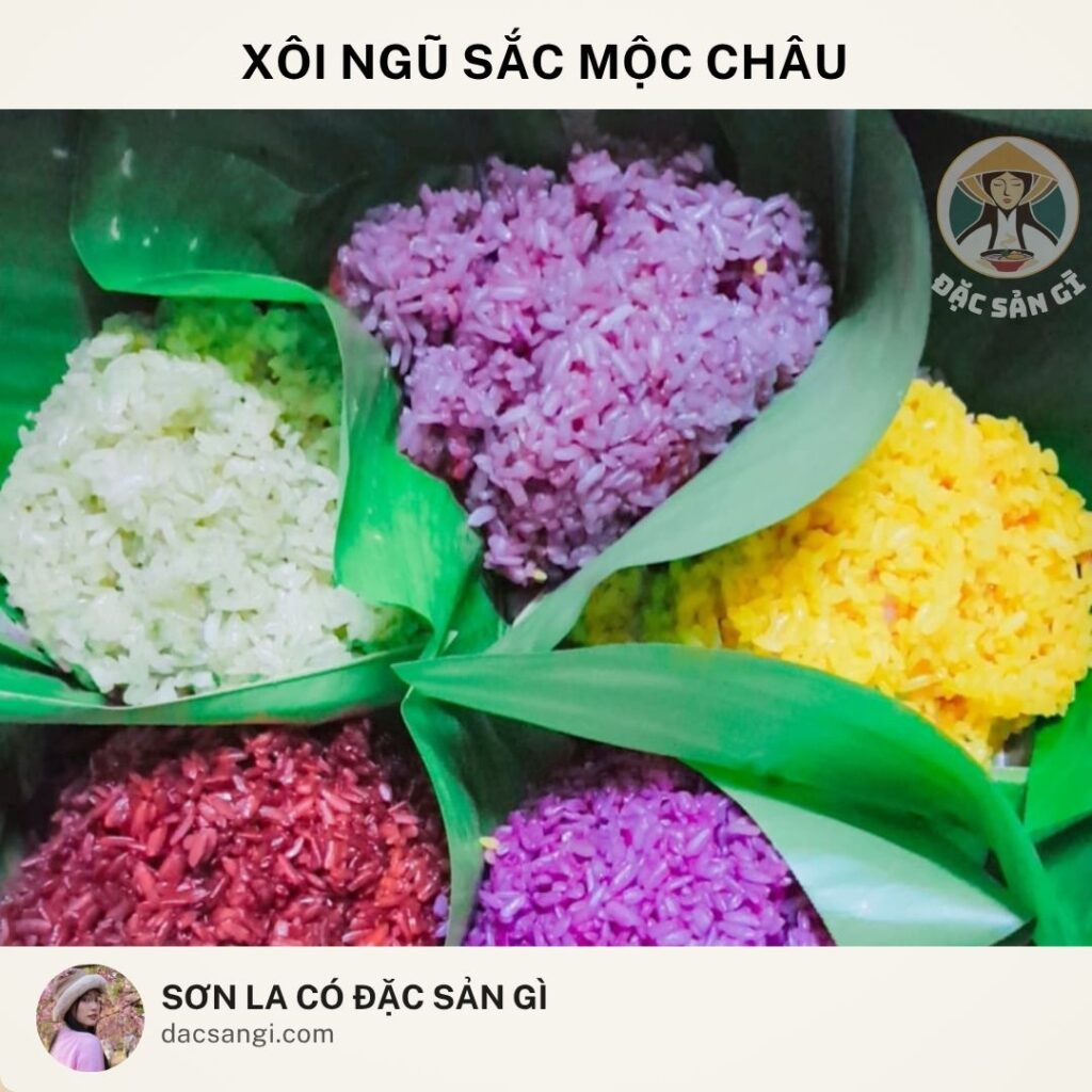 Sơn La có đặc sản gì? Top 23 đặc sản Sơn La ngon nức tiếng nên mua làm quà dac-san-xoi-ngu-sac-moc-chau