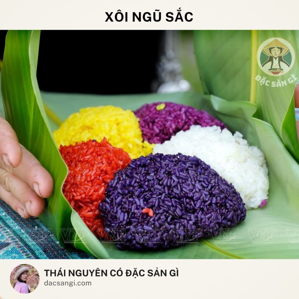Thái Nguyên có đặc sản gì? Tham khảo 22 đặc sản Thái Nguyên nên mua làm quà Đặc sản xôi ngũ sắc Thái Nguyên