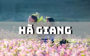 Hà Giang có đặc sản gì? Gợi ý 20 đặc sản Hà Giang mua làm quà cực kỳ ý nghĩa