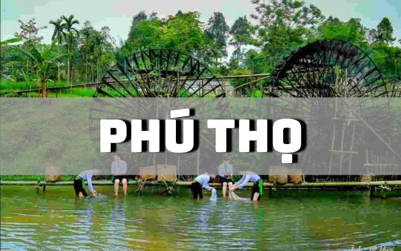 Phú Thọ có đặc sản gì? Khám phá top 17 đặc sản Phú Thọ ngon nức tiếng làm quà biếu Phú Thọ có đặc sản gì? Khám phá top 17 đặc sản Phú Thọ ngon nức tiếng làm quà biếu