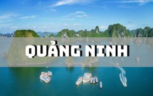 Quảng Ninh có đặc sản gì? 19 đặc sản Quảng Ninh ngon bổ rẻ đáng mua nhất