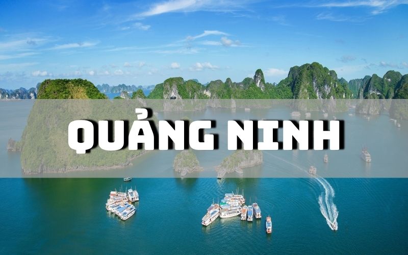 Quảng Ninh có đặc sản gì? 19 đặc sản Quảng Ninh ngon bổ rẻ đáng mua nhất Quảng Ninh có đặc sản gì? 19 đặc sản Quảng Ninh ngon bổ rẻ đáng mua nhất