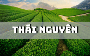 Thái Nguyên có đặc sản gì? Tham khảo ngay 22 đặc sản Thái Nguyên nên mua làm quà sau chuyến đi