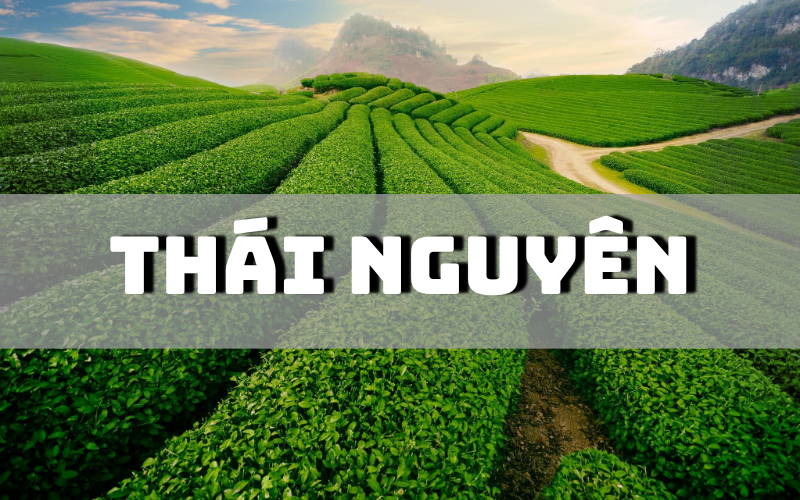 Thái Nguyên có đặc sản gì? Tham khảo 22 đặc sản Thái Nguyên nên mua làm quà Thái Nguyên có đặc sản gì? Tham khảo ngay 22 đặc sản Thái Nguyên nên mua làm quà sau chuyến đi