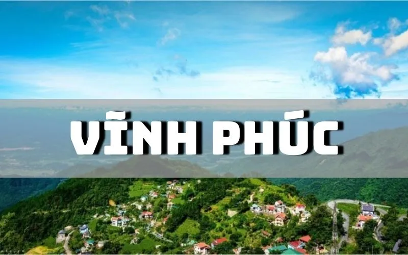 Vĩnh Phúc có đặc sản gì? Top 15 đặc sản Vĩnh Phúc ngon nên mua về làm quà Vĩnh Phúc có đặc sản gì? Top 15 đặc sản Vĩnh Phúc ngon nên mua về làm quà